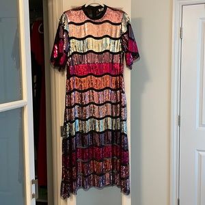 NWT Limited Edition Zara Sequin Maxi Dress